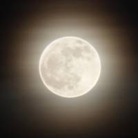 Ученые все еще не теряют надежду, что скоро на Луне появятся обитаемые станции